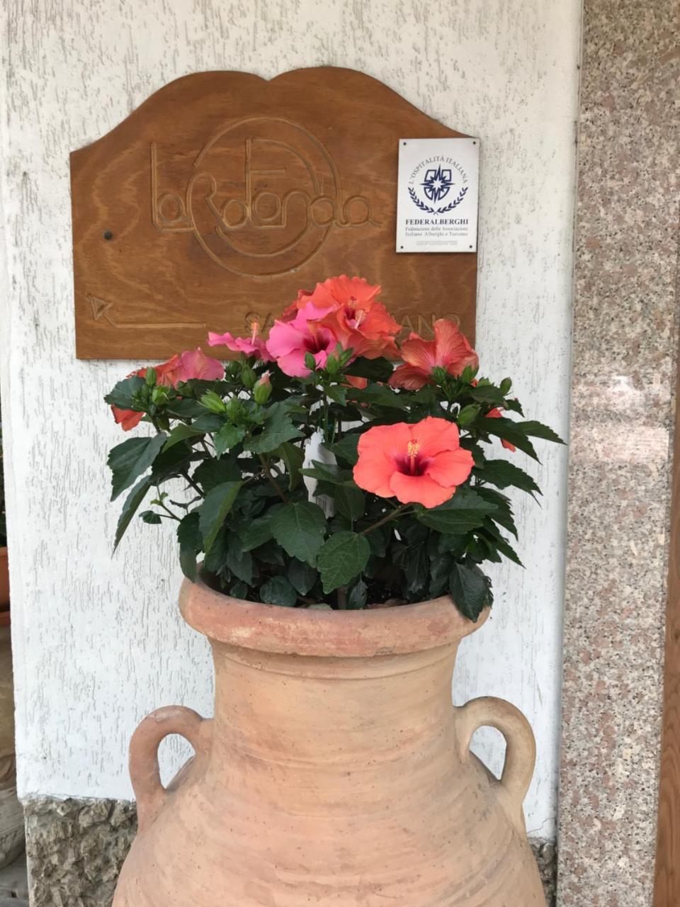 Hotel La Rotonda Cepagatti المظهر الخارجي الصورة
